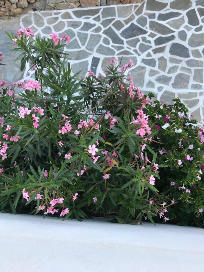 Vegera 'ostria', Stavros * Donoussa